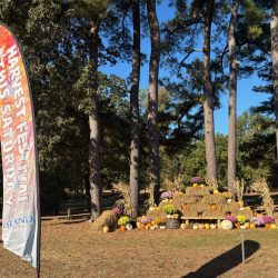 Harvest festival flag with fall decorations in the background outside.