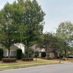 Homes with trees starting to change colors.