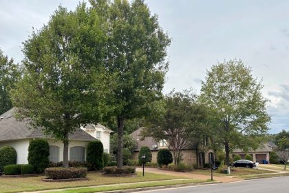 Homes with trees starting to change colors.