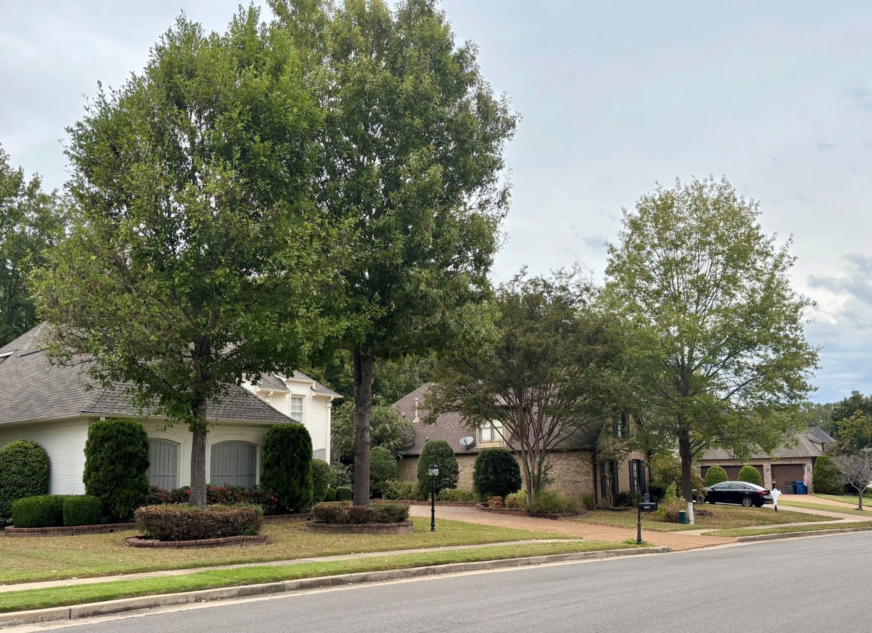Homes with trees starting to change colors.